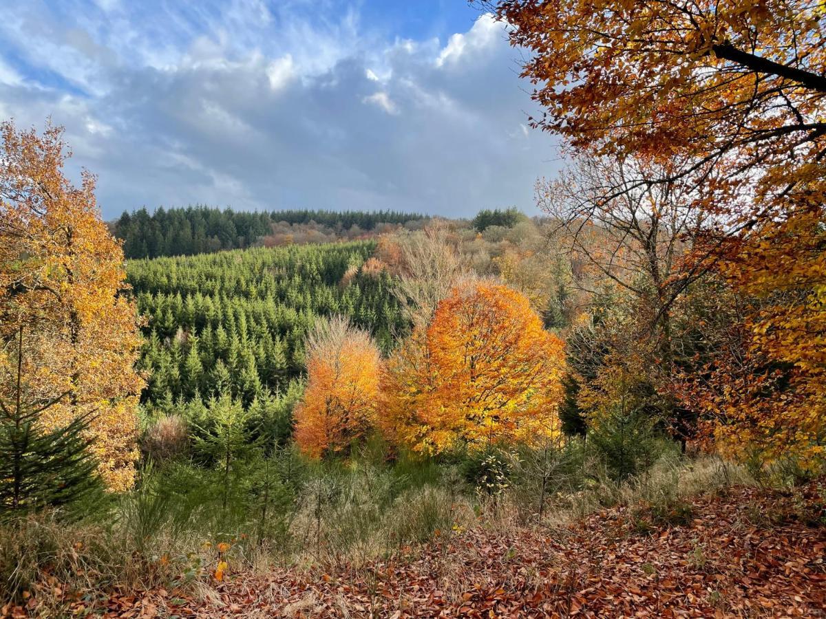 Вилла Au Fil Du Temps Fauvillers Экстерьер фото